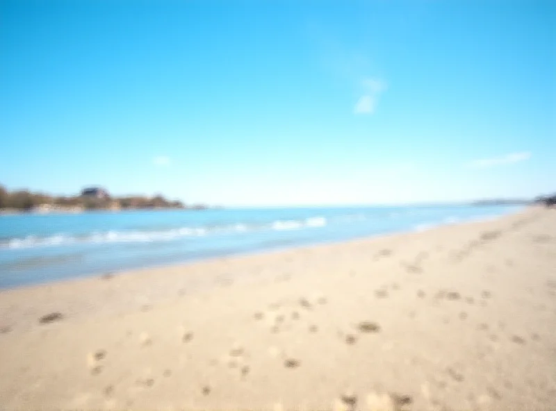 Landscape of a Polish beach in early March, with a sunny sky and calm sea.