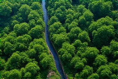UN Biodiversity Talks Resume in Rome Amidst Concerns